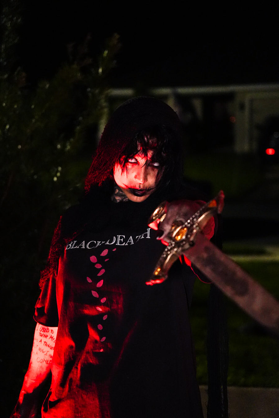The Sword Demon