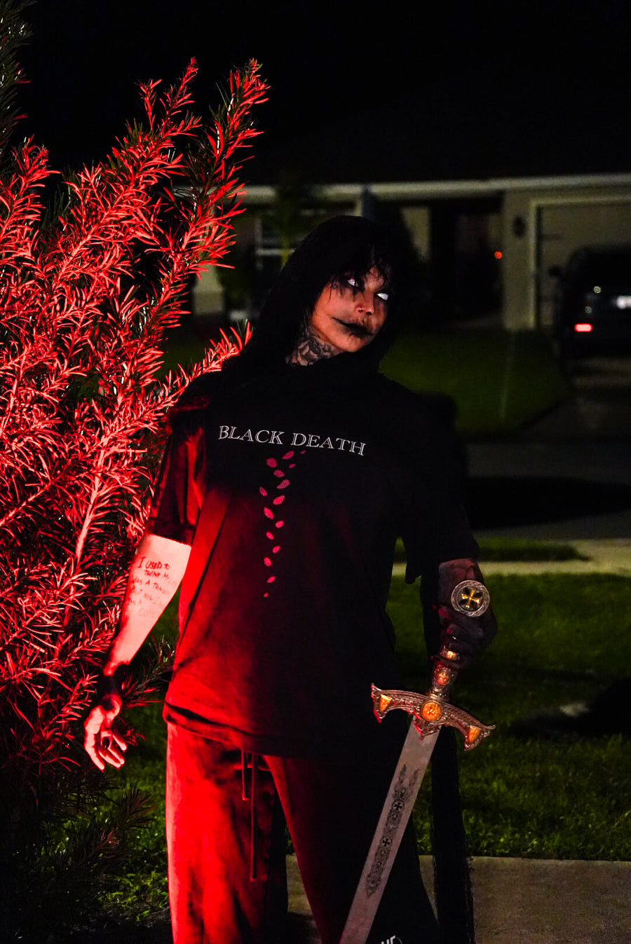 The Sword Demon