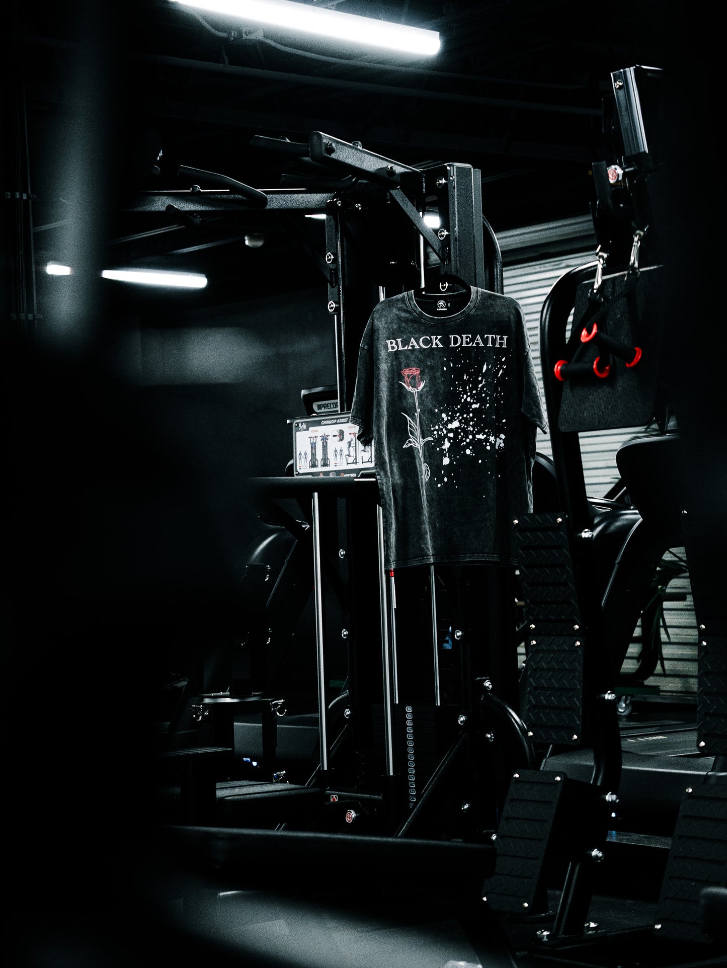 Beauty and the Beast